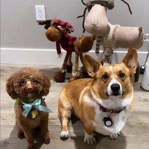 Meet your Posher, Nanami